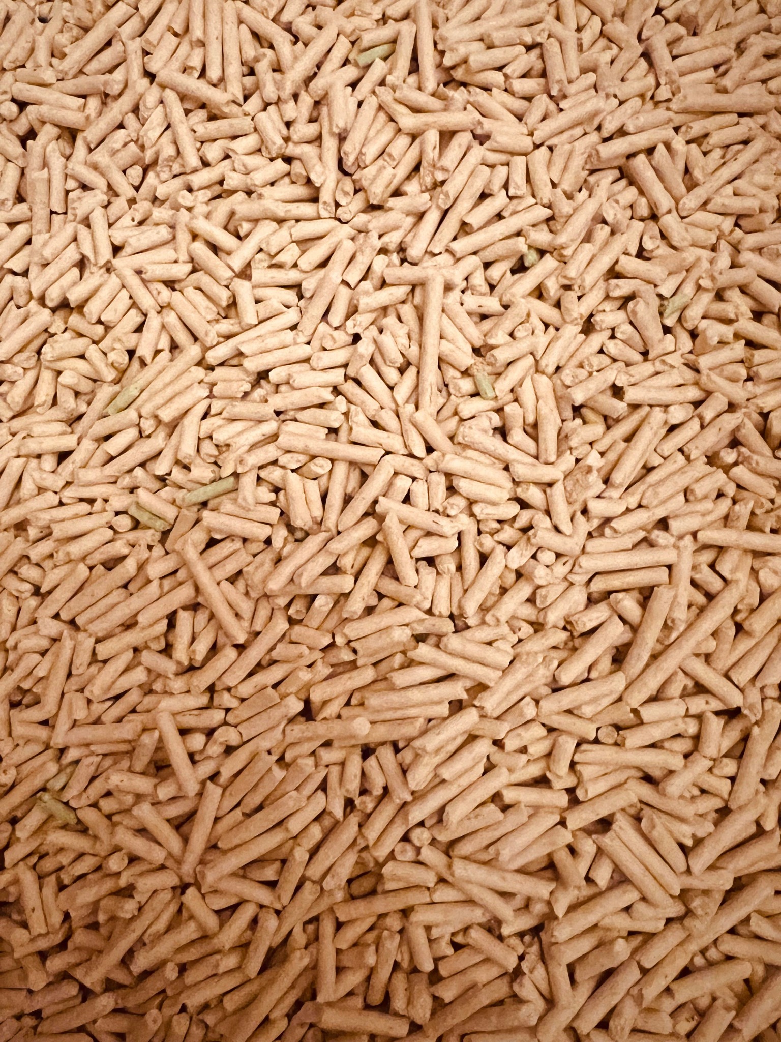 Holzpellets als Brennstoff für gewerbliche Wärmeversorgung