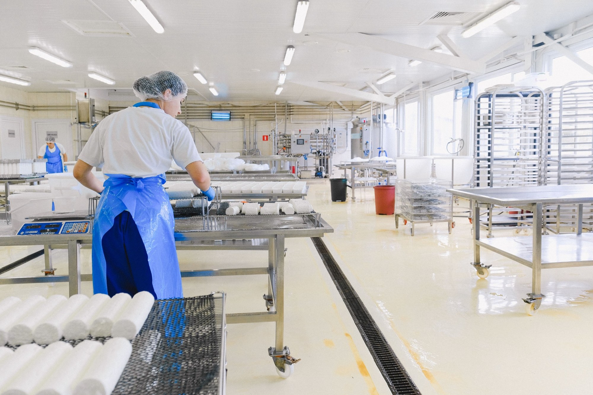 Lebensmittelproduktion mit professioneller Produktions- und Kühltechnik