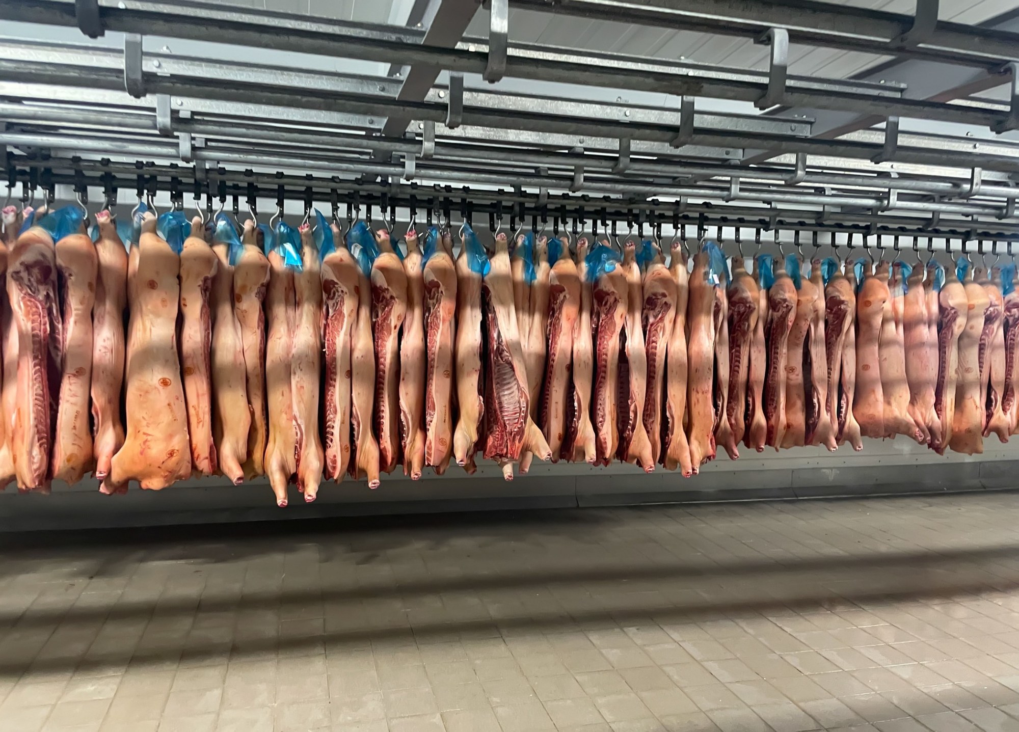 Kühlbereich eines fleischverarbeitenden Betriebs