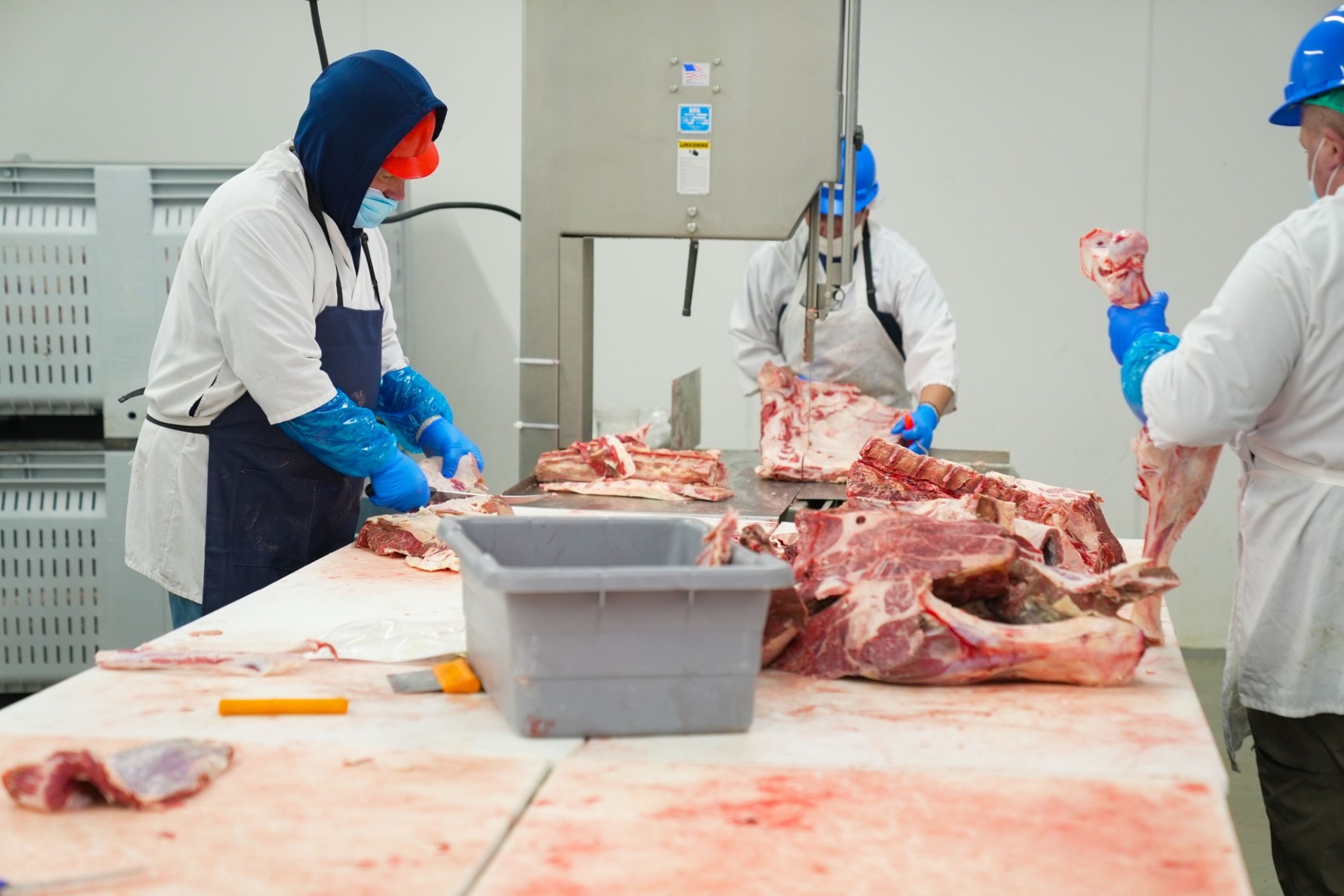 Verarbeitung von Lebensmitteln in einem gekühlten Produktionsbereich